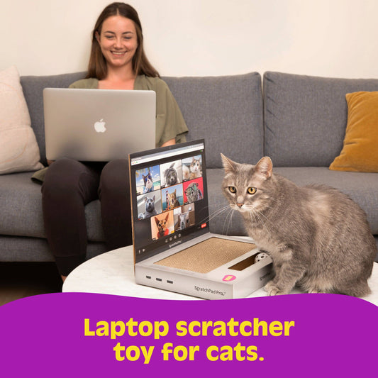 ScratchPad Pro — Cardboard Laptop Cat Scratcher
