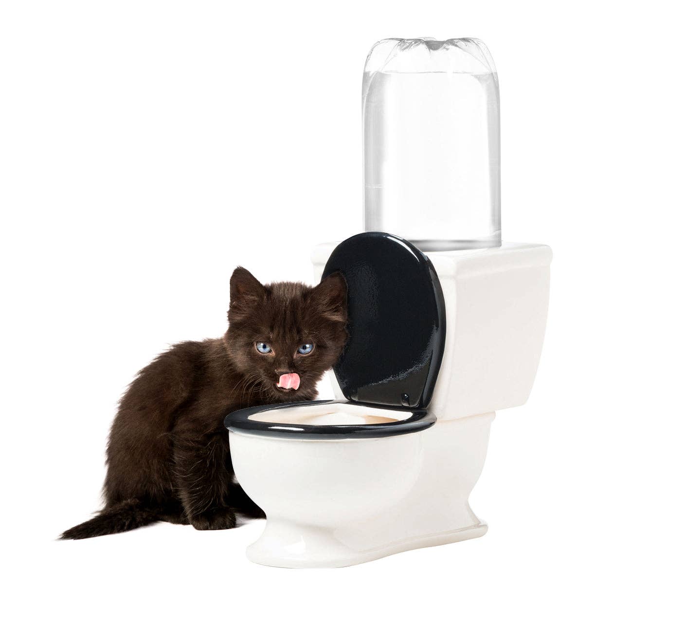 The Toilet Water Dish