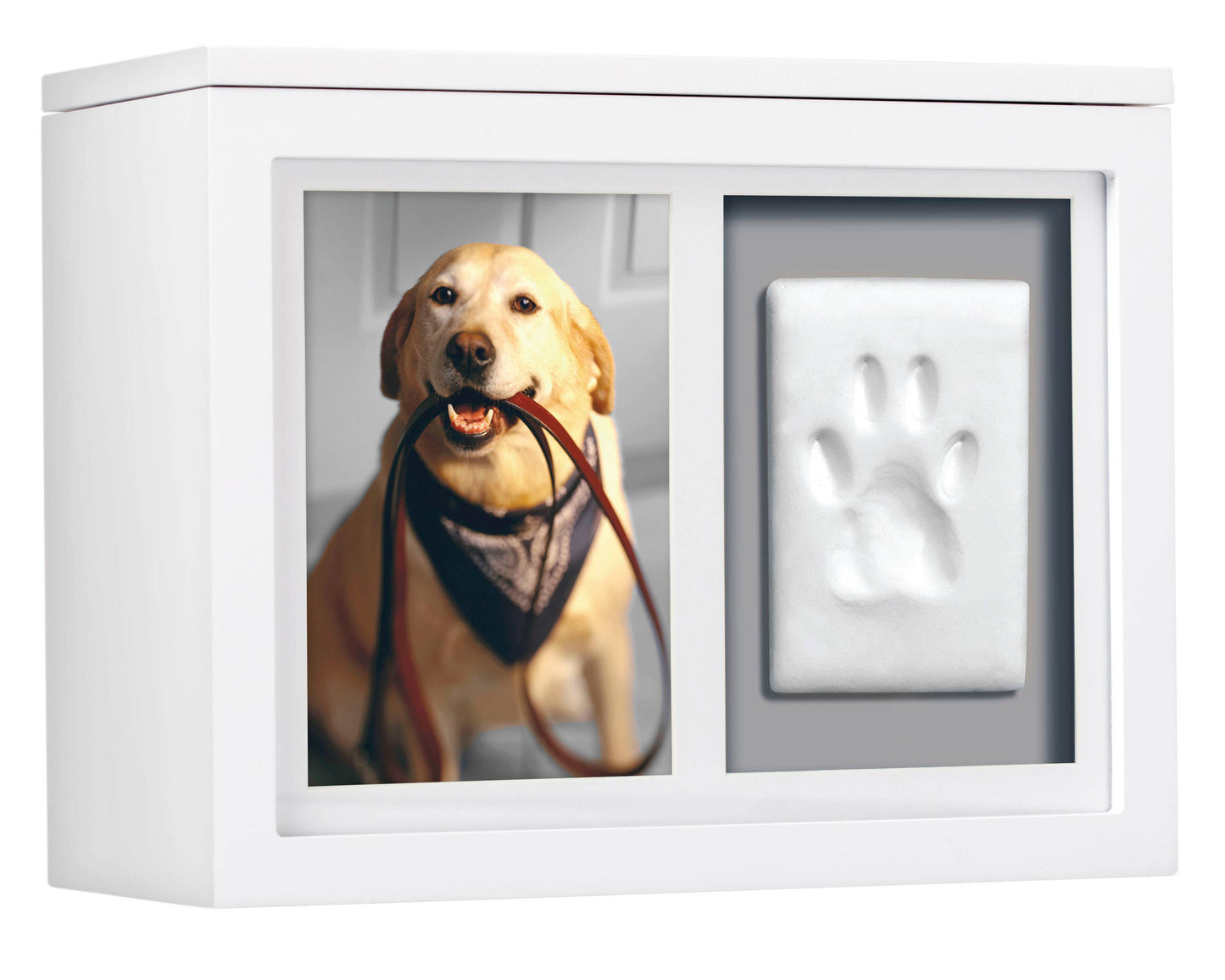 Pet Memory Box & Pawprint Impression Kit: Black