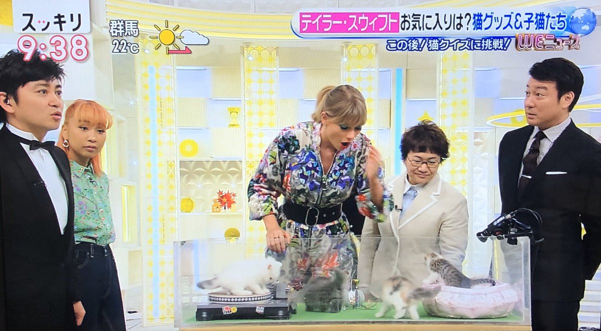 Cat Scratch DJ Decks - unleash your cat’s inner DJ