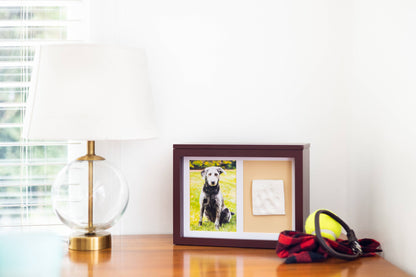 Pet Memory Box & Pawprint Impression Kit: Black
