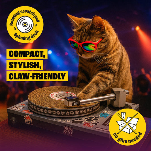 Cat Scratch DJ Decks - unleash your cat’s inner DJ