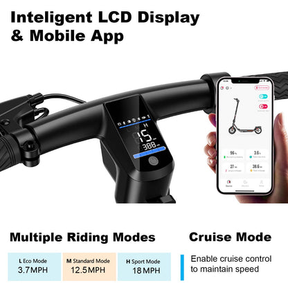 Foldable Electric Scooter with App: Black