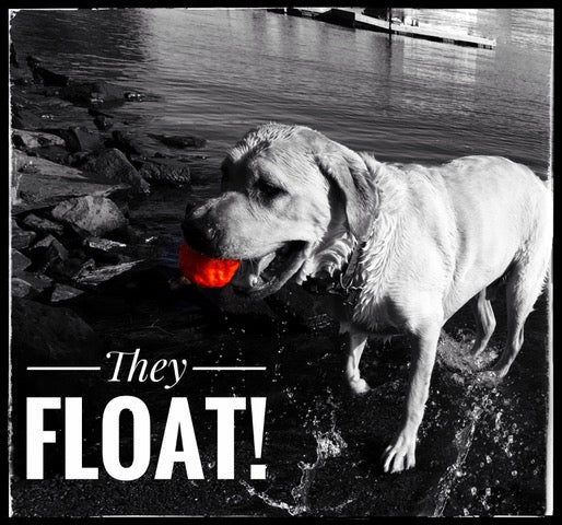 Large WUNDERball durable dog toy floats