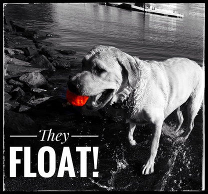 Large WUNDERball durable dog toy floats