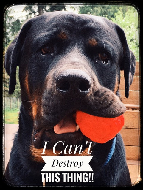 Large WUNDERball in bright colors