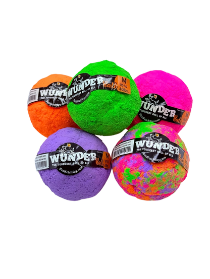 WUNDERball dog toy with unpredictable bounce