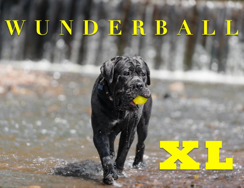 X-Large WUNDERball best for big dogs