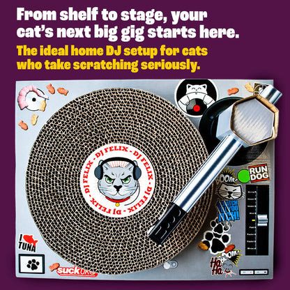 Cat Scratch DJ Decks - unleash your cat’s inner DJ