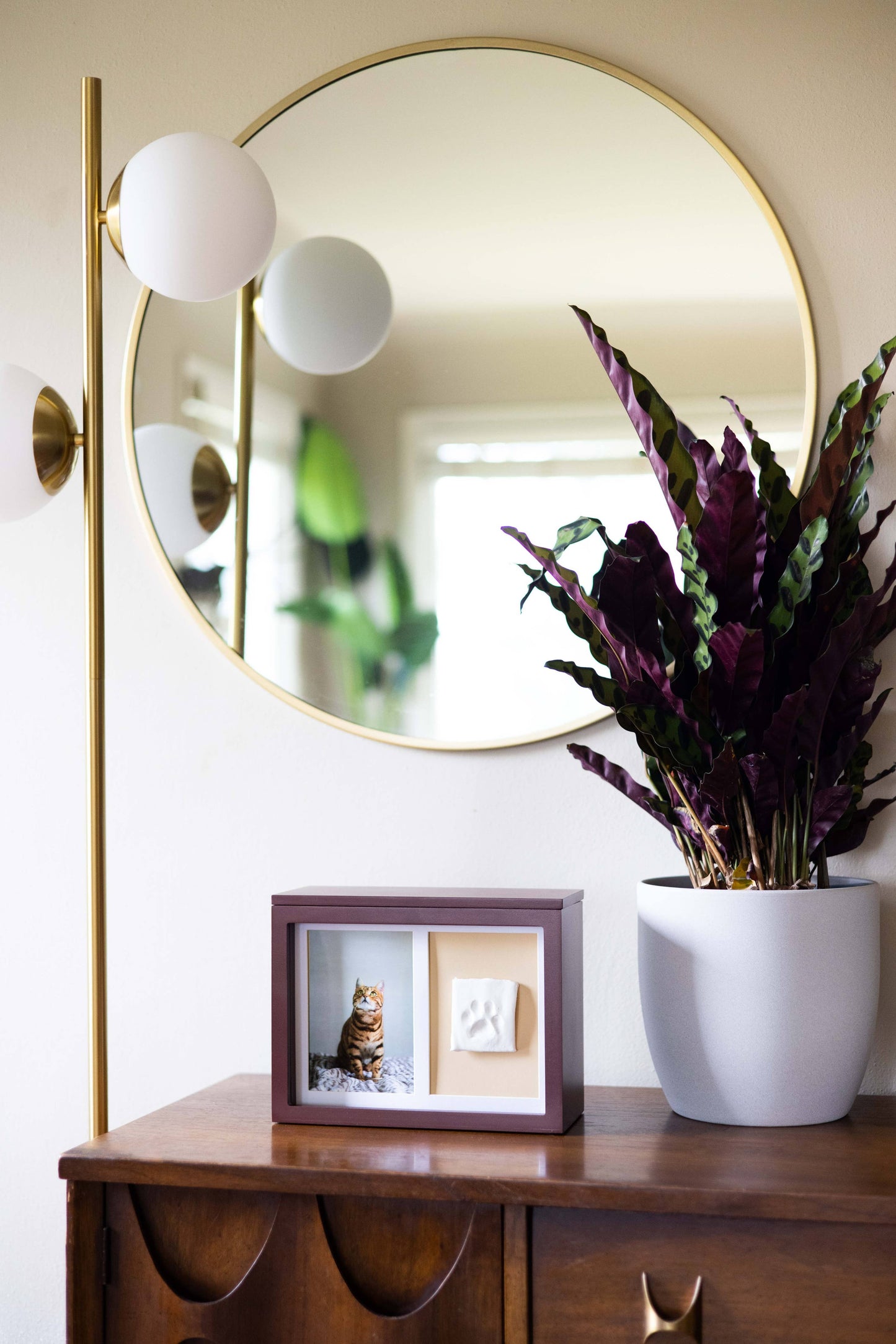 Pet Memory Box & Pawprint Impression Kit: Black