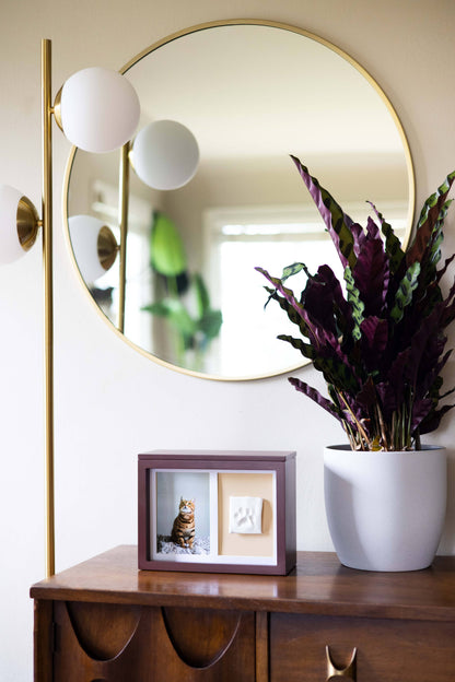 Pet Memory Box & Pawprint Impression Kit: Black