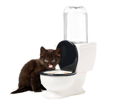 The Toilet Water Dish